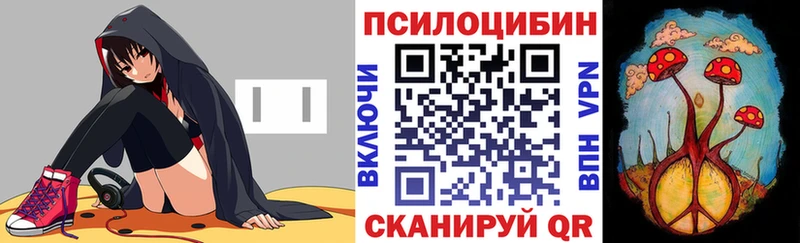 OMG ссылки  где купить наркоту  Чадан  Галлюциногенные грибы мицелий 